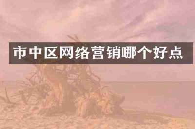 市中区网络营销哪个好点