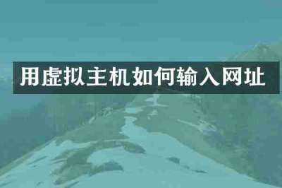 用虚拟主机如何输入网址