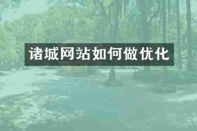 诸城网站如何做优化