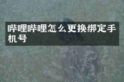 哔哩哔哩怎么更换绑定手机号