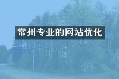 常州专业的网站优化