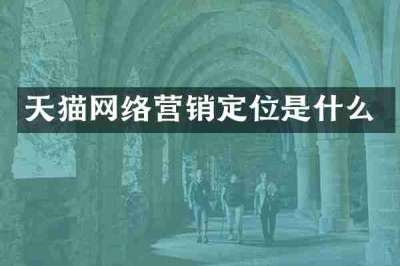 天猫网络营销定位是什么