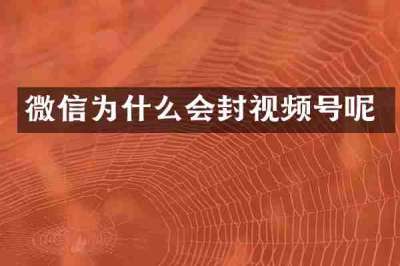 微信为什么会封视频号呢
