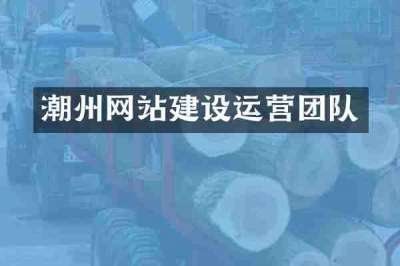 潮州网站建设运营团队