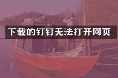 下载的钉钉无法打开网页
