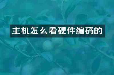 主机怎么看硬件编码的
