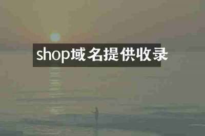 shop域名提供收录