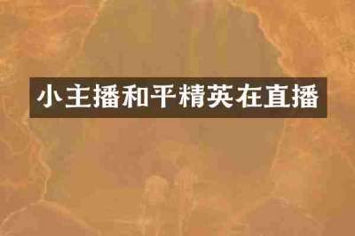 小主播和平精英在直播