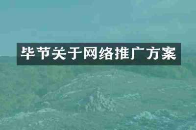 毕节关于网络推广方案