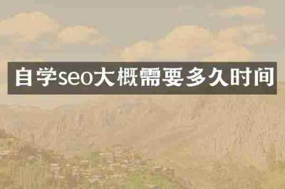 自学seo大概需要多久时间
