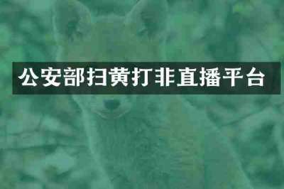 公安部扫黄打非直播平台