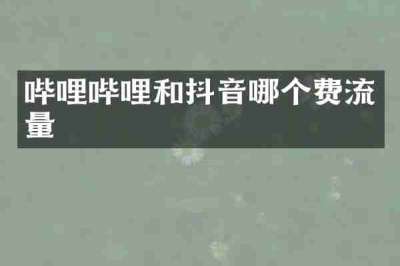 哔哩哔哩和抖音哪个费流量