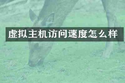 虚拟主机访问速度怎么样