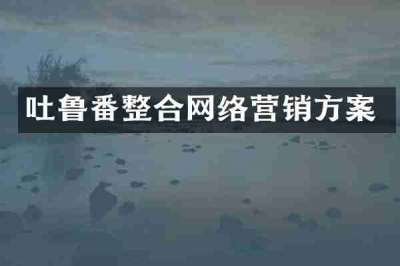 吐鲁番整合网络营销方案