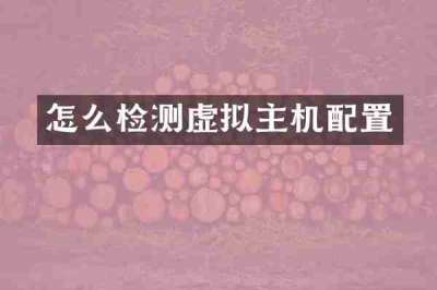 怎么检测虚拟主机配置