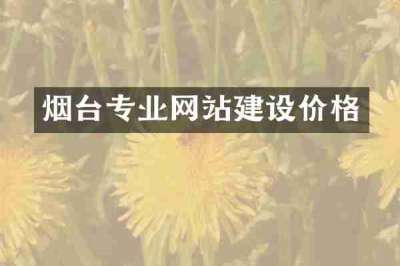 烟台专业网站建设价格