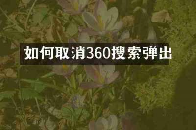 如何取消360搜索弹出