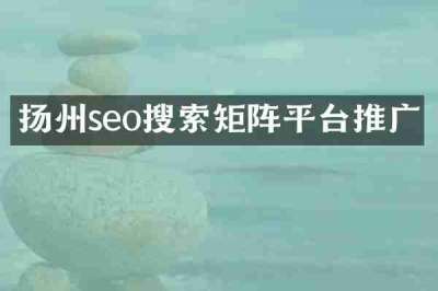 扬州seo搜索矩阵平台推广