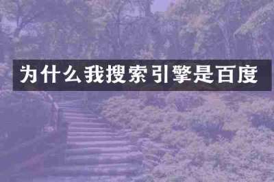 为什么我搜索引擎是百度