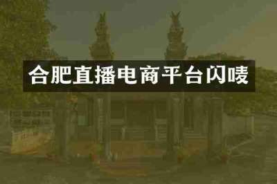合肥直播电商平台闪唛