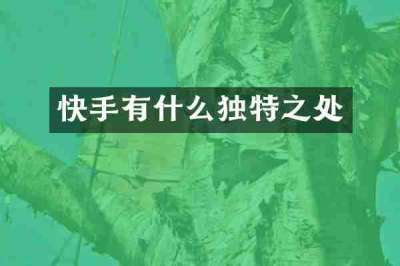 快手有什么独特之处