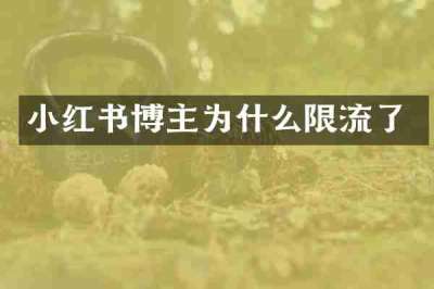 小红书博主为什么限流了