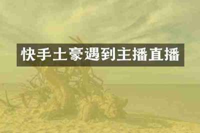 快手土豪遇到主播直播