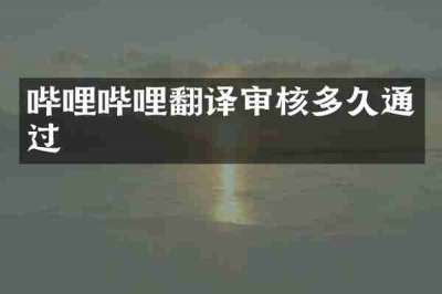 哔哩哔哩翻译审核多久通过