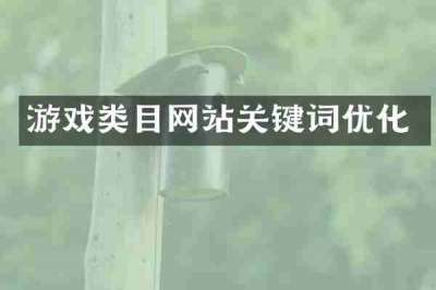 游戏类目网站关键词优化