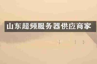 山东超频服务器供应商家