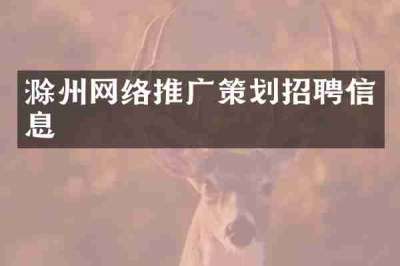 滁州网络推广策划招聘信息