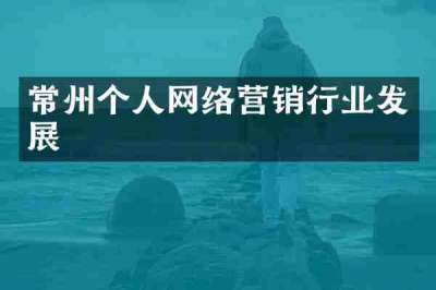 常州个人网络营销行业发展