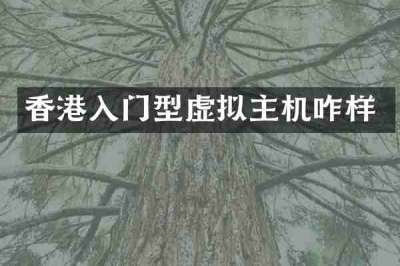 香港入门型虚拟主机咋样