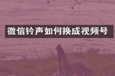微信铃声如何换成视频号