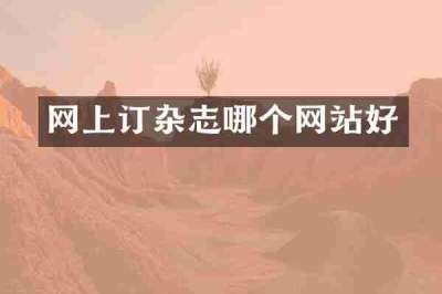网上订杂志哪个网站好