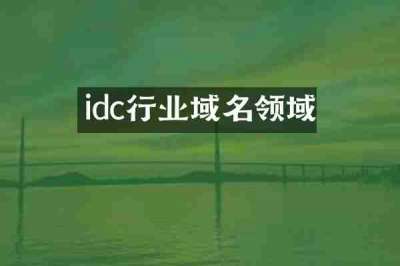 idc行业域名领域