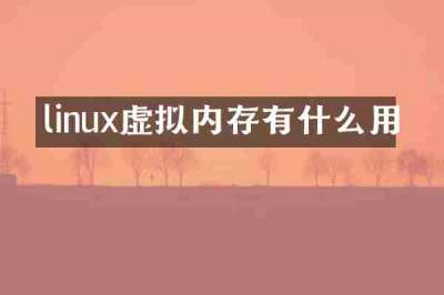 linux虚拟内存有什么用