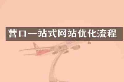 营口一站式网站优化流程
