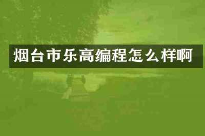 烟台市乐高编程怎么样啊