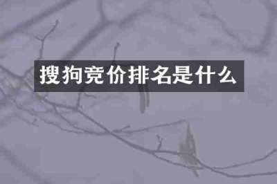 搜狗竞价排名是什么
