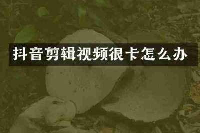 抖音剪辑视频很卡怎么办