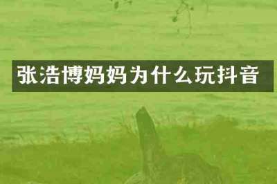 张浩博妈妈为什么玩抖音