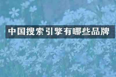 中国搜索引擎有哪些品牌