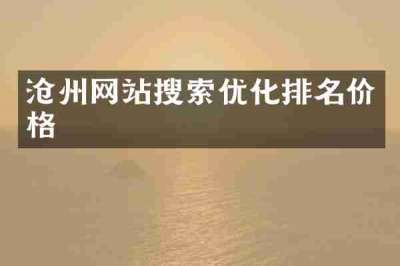 沧州网站搜索优化排名价格