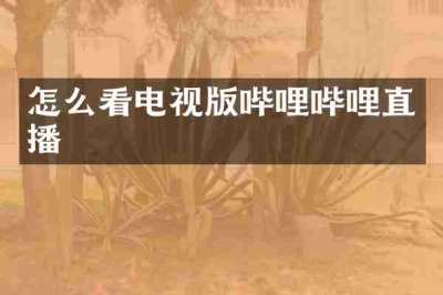 怎么看电视版哔哩哔哩直播