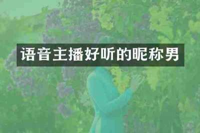 语音主播好听的昵称男