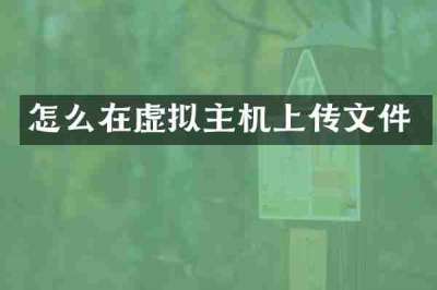 怎么在虚拟主机上传文件