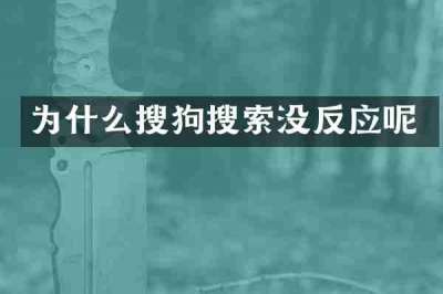 为什么搜狗搜索没反应呢