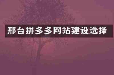 邢台拼多多网站建设选择