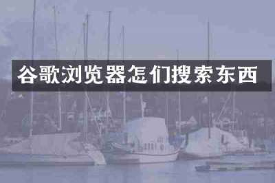 谷歌浏览器怎们搜索东西